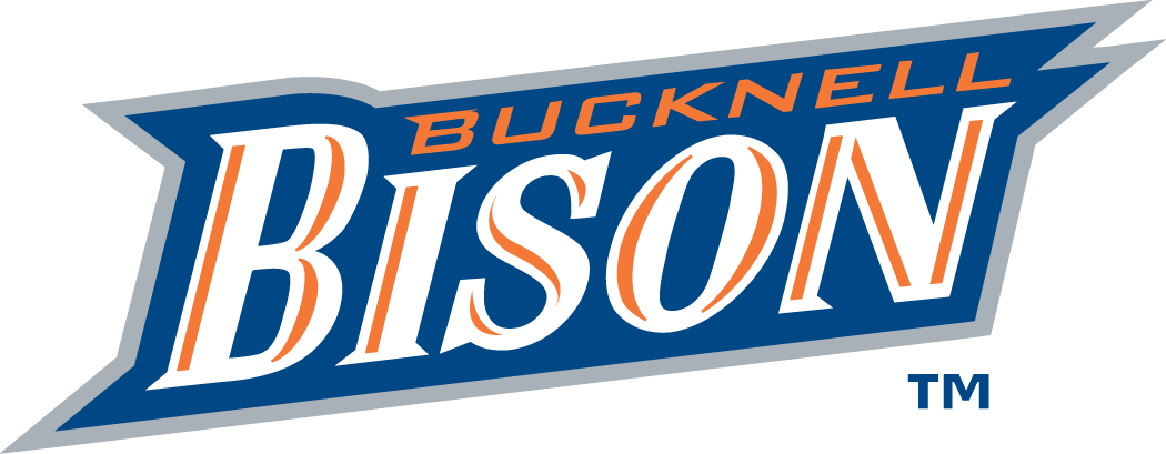Bucknell Bison 2002-Pres Wordmark Logo diy iron on heat transfer